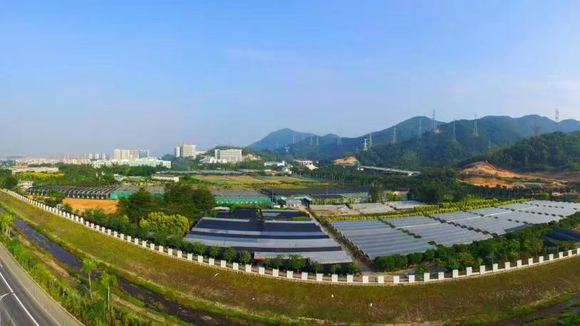 田园采摘 唱响未来｜2022年第三季度员工生日会